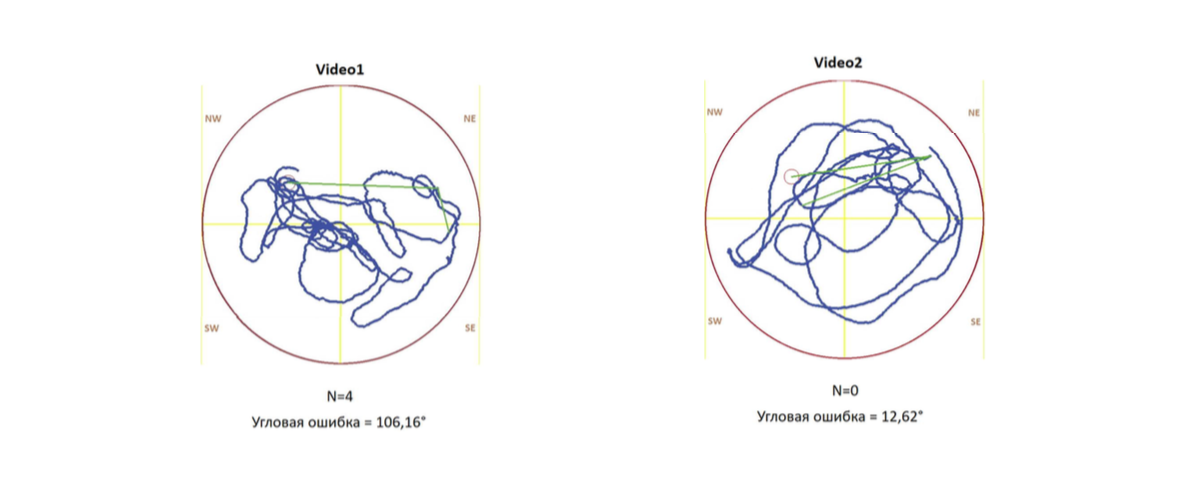 Movement trajectories of two experimental mice